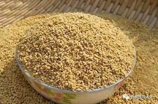 DIY自制釣鯽魚(yú)餌料配方 從入門(mén)到精通的飼料科學(xué)